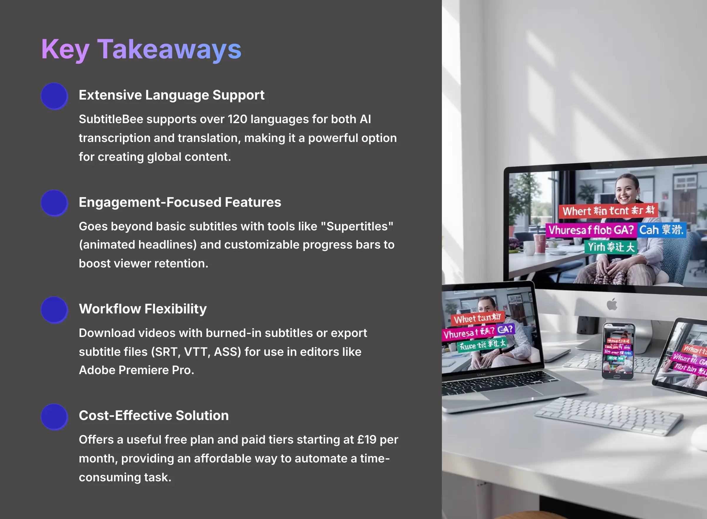 SubtitleBee AI video subtitle generator key takeaways overview