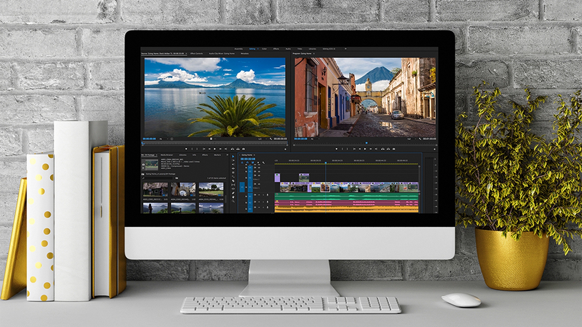 Adobe Premiere Pro interface screenshot