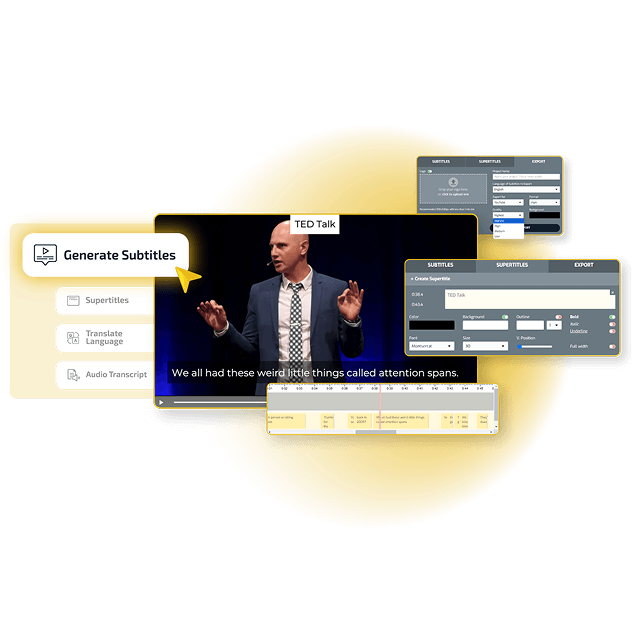 SubtitleBee Demo Interface