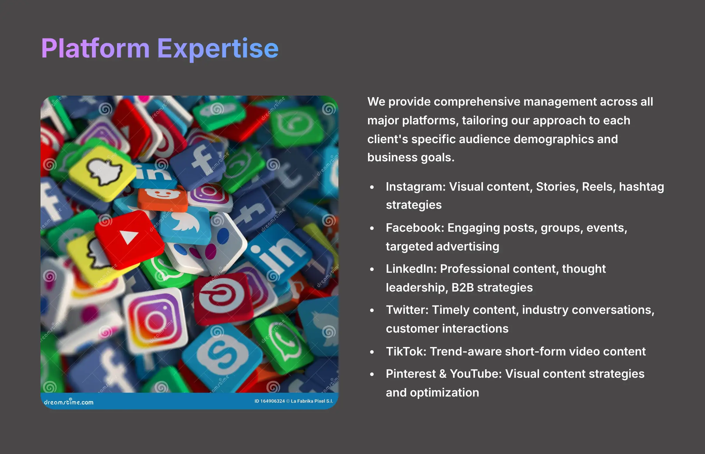 Platform Expertise - Multi-Platform Social Media Management