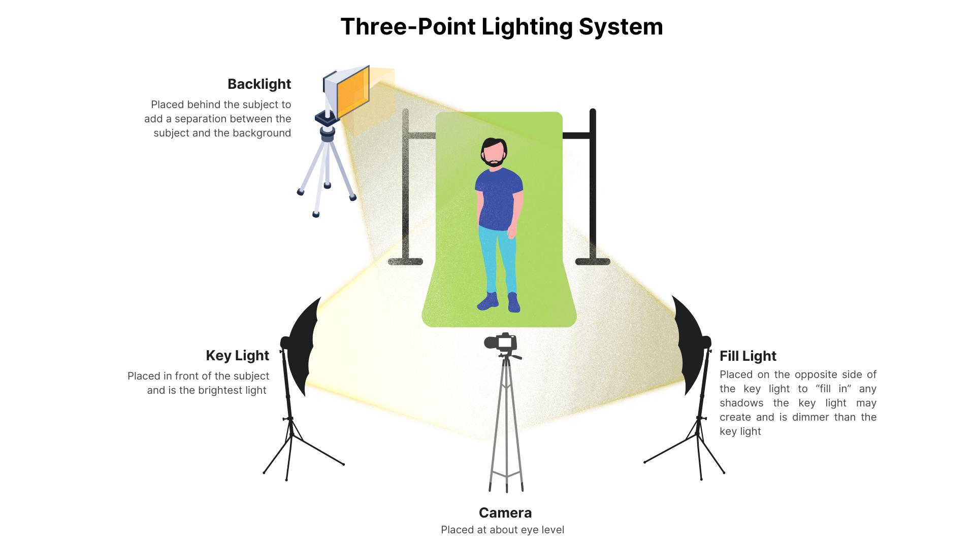 Professional Three-Point Lighting Setup